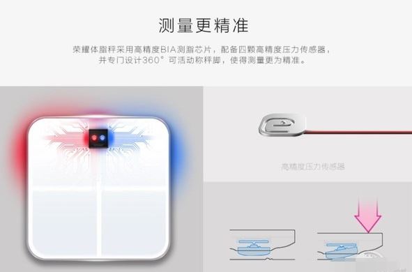 榮耀體脂秤和小米體脂秤哪個(gè)好？榮耀/小米體脂秤區(qū)別對(duì)比評(píng)測(cè) 
