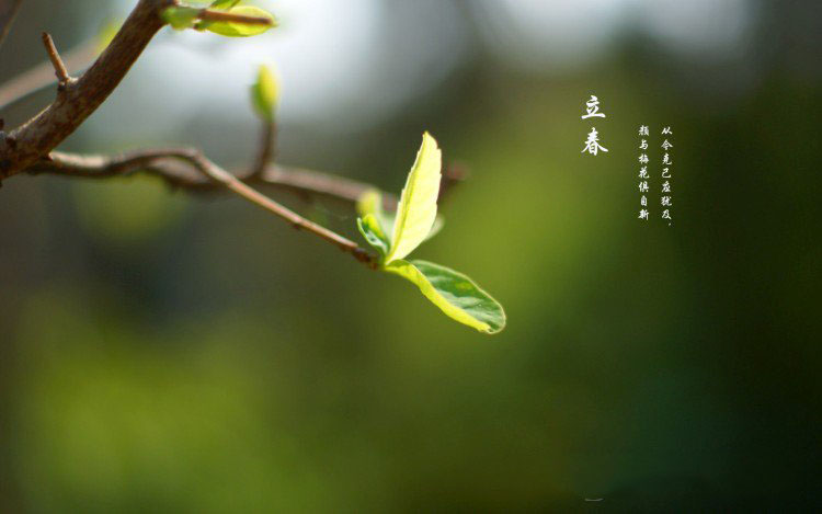 2018春节怎么发微信朋友圈 2018年微信春节祝福语大全
