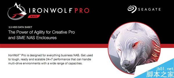 希捷發(fā)布IronWolf Pro NAS硬盤:最強10TB/耐用性極佳