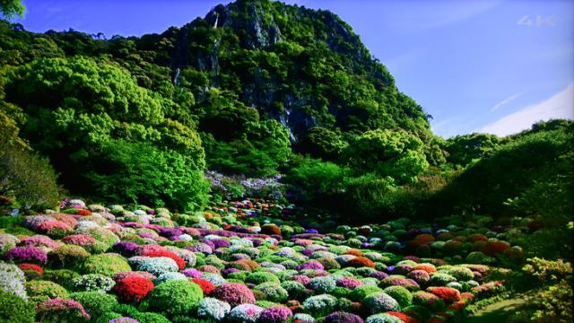 華為智慧屏評(píng)測(cè):創(chuàng)造多維度的客廳新體驗(yàn)