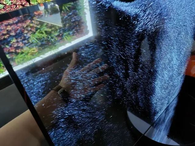 小米大師OLED透明電視怎么樣?小米大師OLED透明電視體驗分享