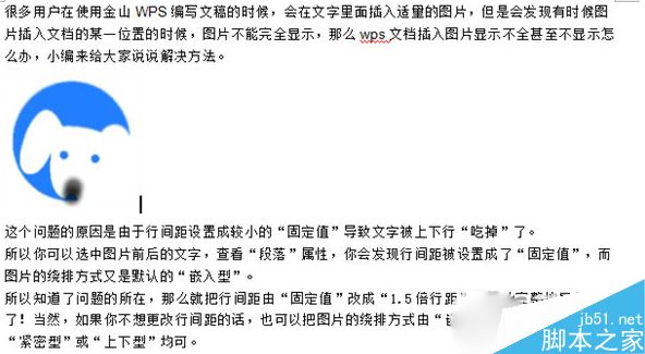 wps图片不显示怎么办 解决wps图片显示问题的方法