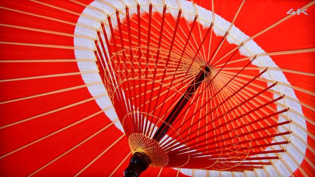 華為智慧屏評(píng)測(cè):創(chuàng)造多維度的客廳新體驗(yàn)