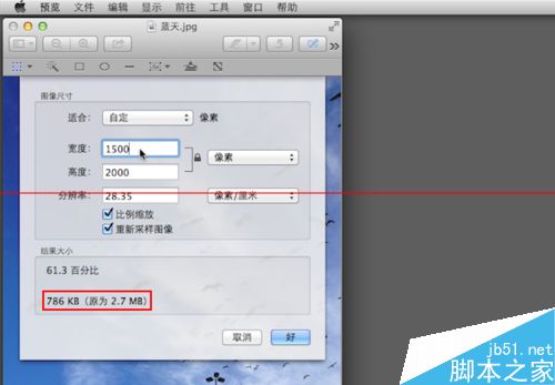 苹果电脑Macbook怎么调整图像的大小？