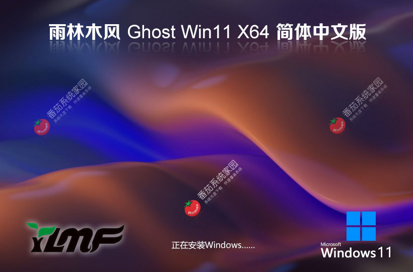 雨林木風(fēng)win11企業(yè)專(zhuān)用版 GHOST鏡像 最新版X64位 筆記本專(zhuān)用下載