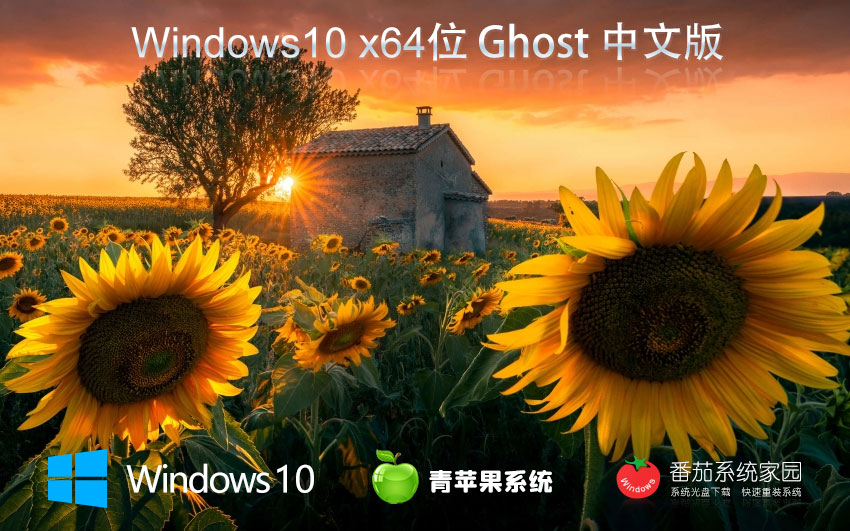 青蘋果系統(tǒng)win10增強(qiáng)版 x64位穩(wěn)定版下載 ghost系統(tǒng)下載 戴爾筆記本專用