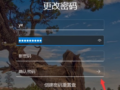 win11怎么关闭密码登录 Win11关闭登录密码的方法