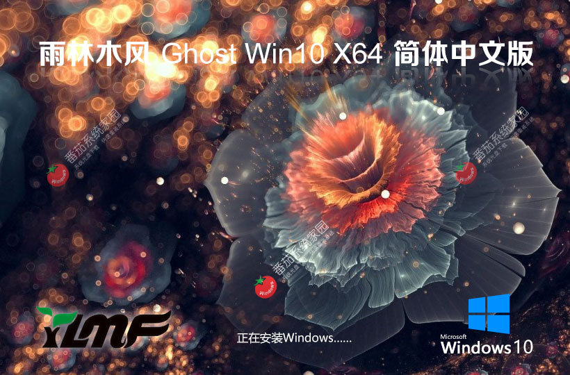 雨林木風(fēng)最新版下載 x64位系統(tǒng) Windows10娛樂(lè)優(yōu)化版下載 聯(lián)想電腦專(zhuān)用