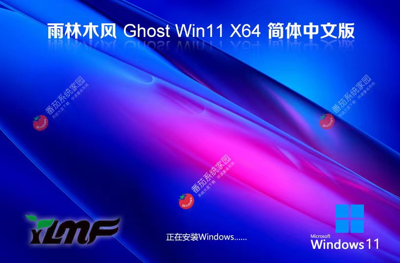 雨林木風(fēng)x64通用版下載 Windows11游戲?qū)Ｓ孟到y(tǒng) ghost系統(tǒng)下載 戴爾筆記本專用