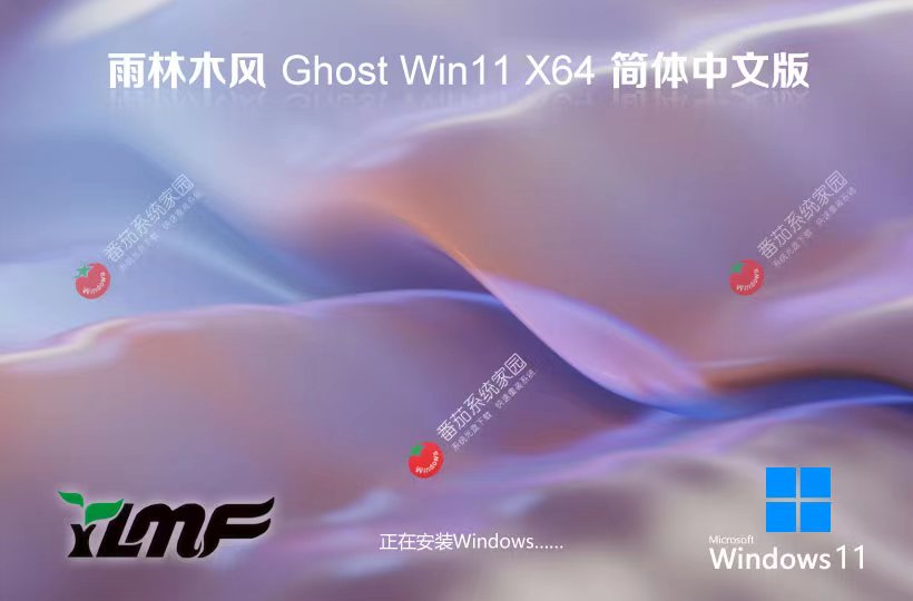 windows11精簡純凈版 雨林木風 筆記本專用下載 x64位永久激活 v2023