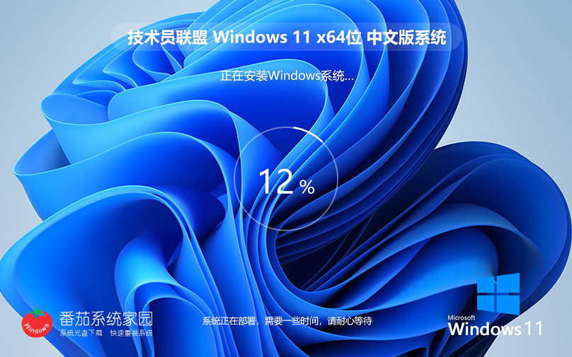 win11超級通用版下載 技術員聯(lián)盟64位企業(yè)版 官網(wǎng)鏡像下載 永久激活