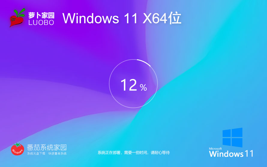 Win11 23H2 64位 專業(yè)精簡版 免TPM版 V2024.08