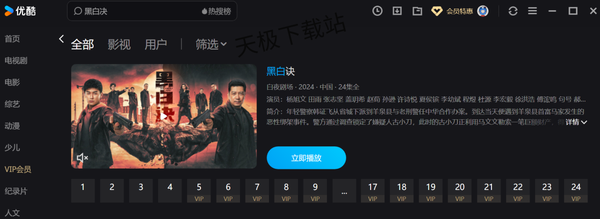 2024优酷高分热播电视剧榜单TOP10_快看看你错过了哪部