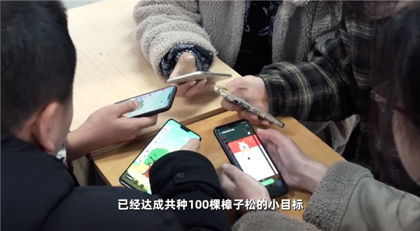支付宝蚂蚁森林种了6亿棵树！只用短短9年