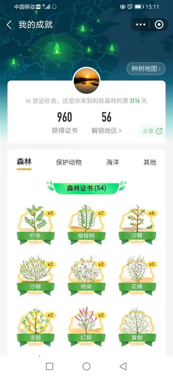 支付宝蚂蚁森林种了6亿棵树！只用短短9年