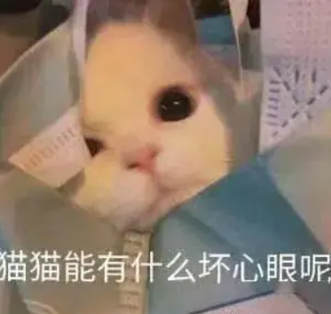 太好了 仅退款基本完蛋了！
