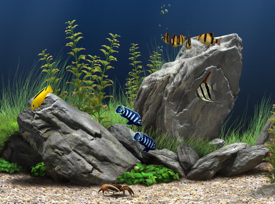 夢幻水族館