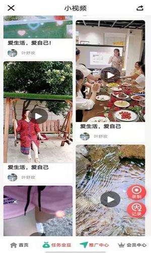 趣豆殼