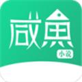 咸魚(yú)小說(shuō)