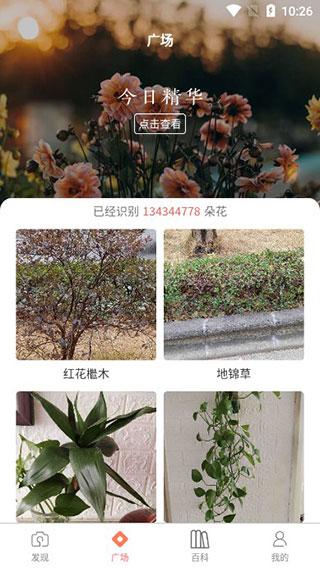 識(shí)花君app