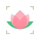 識(shí)花君app