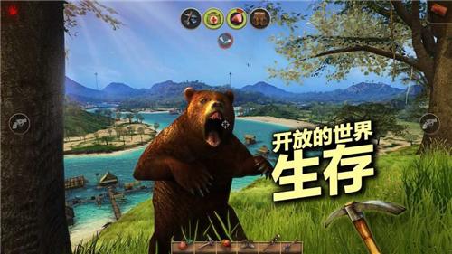輻射島