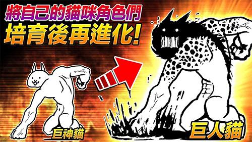 貓咪大戰(zhàn)爭2020最新版