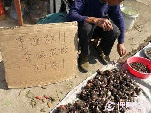 雙十一網(wǎng)購(gòu)貓膩多 精編購(gòu)機(jī)防忽悠指南
