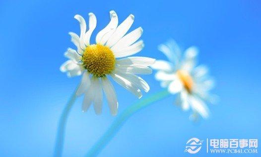 桌面圖標(biāo)無法拖動(dòng)或自由移動(dòng)的解決辦法