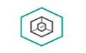 Kaspersky Small Office Security