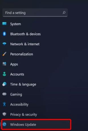 详细教你win11显卡驱动怎么更新