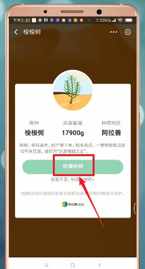 支付宝蚂蚁森林怎么获得环保证书 支付宝蚂蚁森林获得环保证书的教程