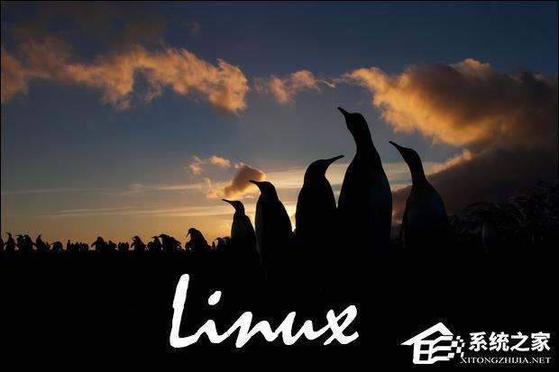 Linux操作系統(tǒng)為何如此深得人心？Linux有哪些特點(diǎn)？