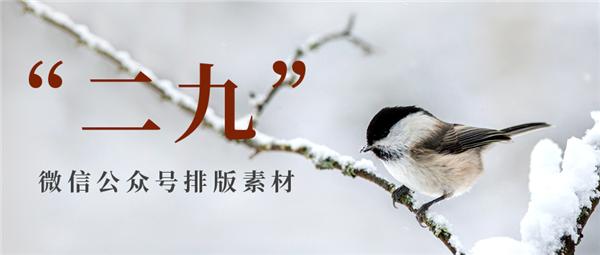 135編輯器二九排版素材推薦！二九圖文模板介紹