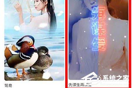 抖音先謀生再謀愛(ài)卡點(diǎn)怎么拍攝？借助逗拍輕松搞定
