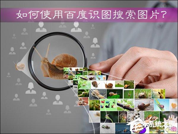 如何使用百度識圖搜索圖片？百度識圖怎么用？