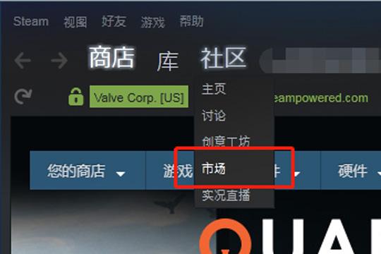 Steam上怎樣東西？