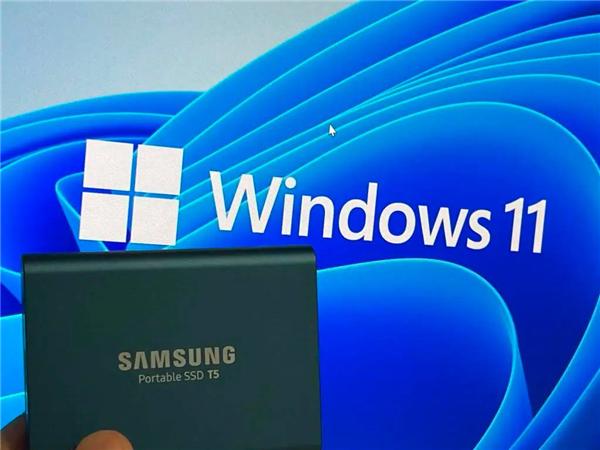 怎么在Windows11中備份文件并降級回Windows10？