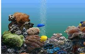 win7水族馆屏保