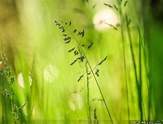 【小马win7 oem7win7小马激活 oem7f7】win7小马激活oem7f7